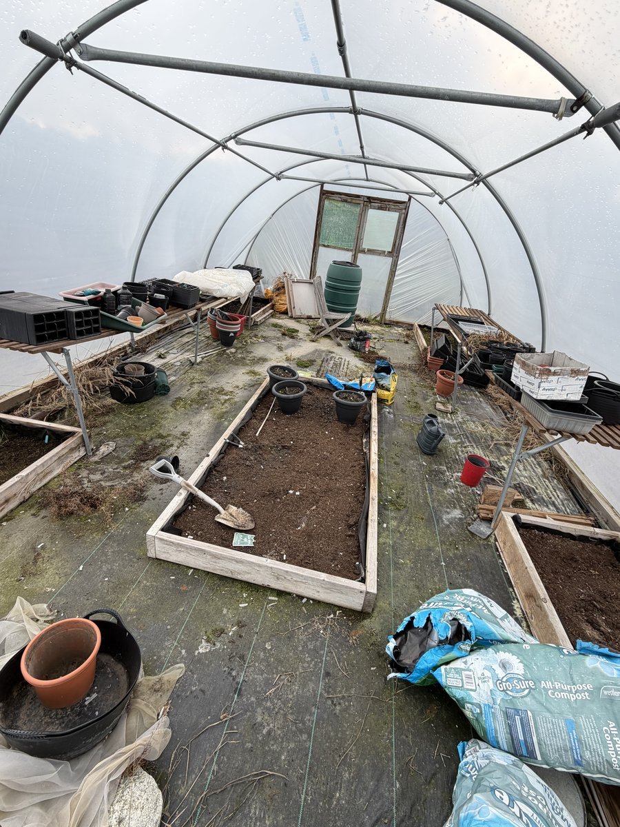 Inside the polytunnel — raised beds cleared, shelving tidied, bags of compost at the ready