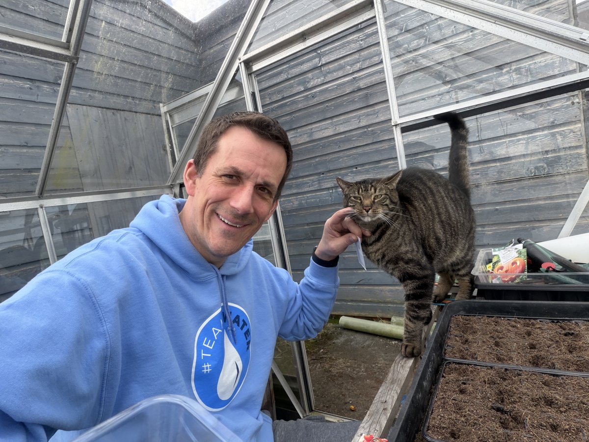Damo and Eddie the cat in the greenhouse with freshly planted seed trays