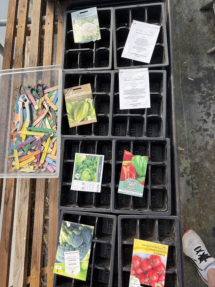 Johnsons Leek Musselburgh seed packet